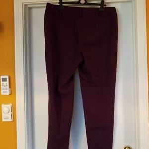 Plum Colored Loft Pants in Tall size